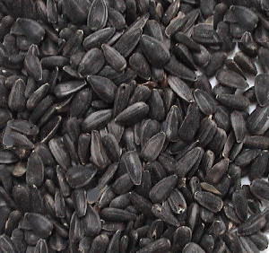 Organic Sunflower Seeds: Black Oil - 1/4 Pound